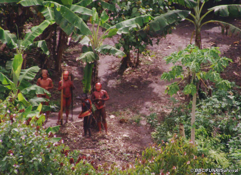 First ever aerial video footage of uncontacted Amazon tribe