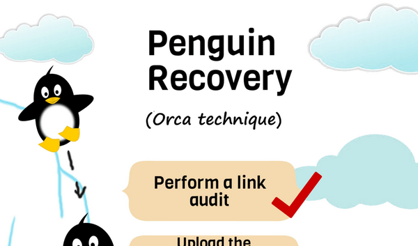 Penguin Recovery [Infographic]