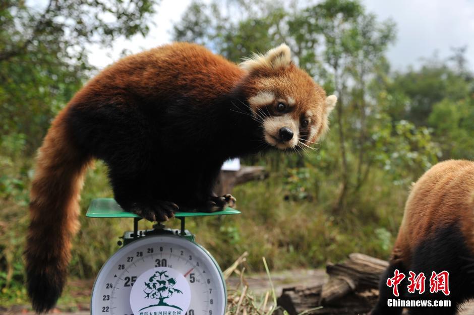 Funny photos of wild animals in China